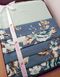 Комплект постільної білизни європейський сатин  Квіти, Синій, Европейський, 2х70х70